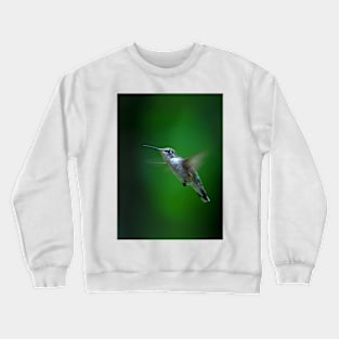 Ruby-throated hummingbird Crewneck Sweatshirt